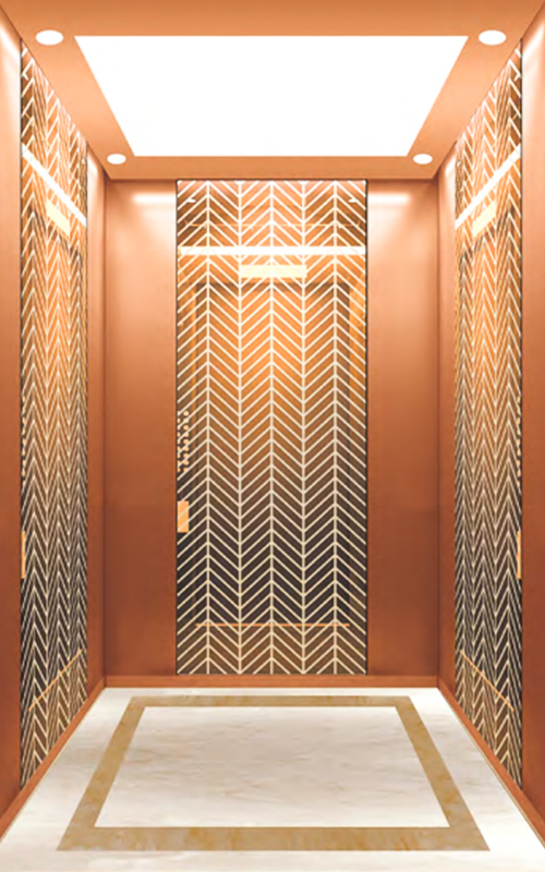 NF-J007 2-6 floors indoor &outdoor electric residential cheap passenger elevator lift small dumbwaiter home lift for sale