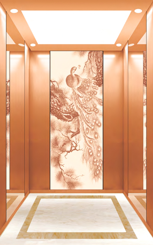 NF-J008 small machine room passenger elevator lift safety standard durable practical home appliance high stability high-speed stability